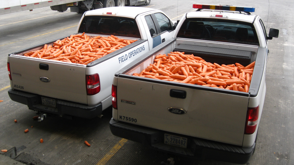 DHS-CBP+Carrots+Seized+01