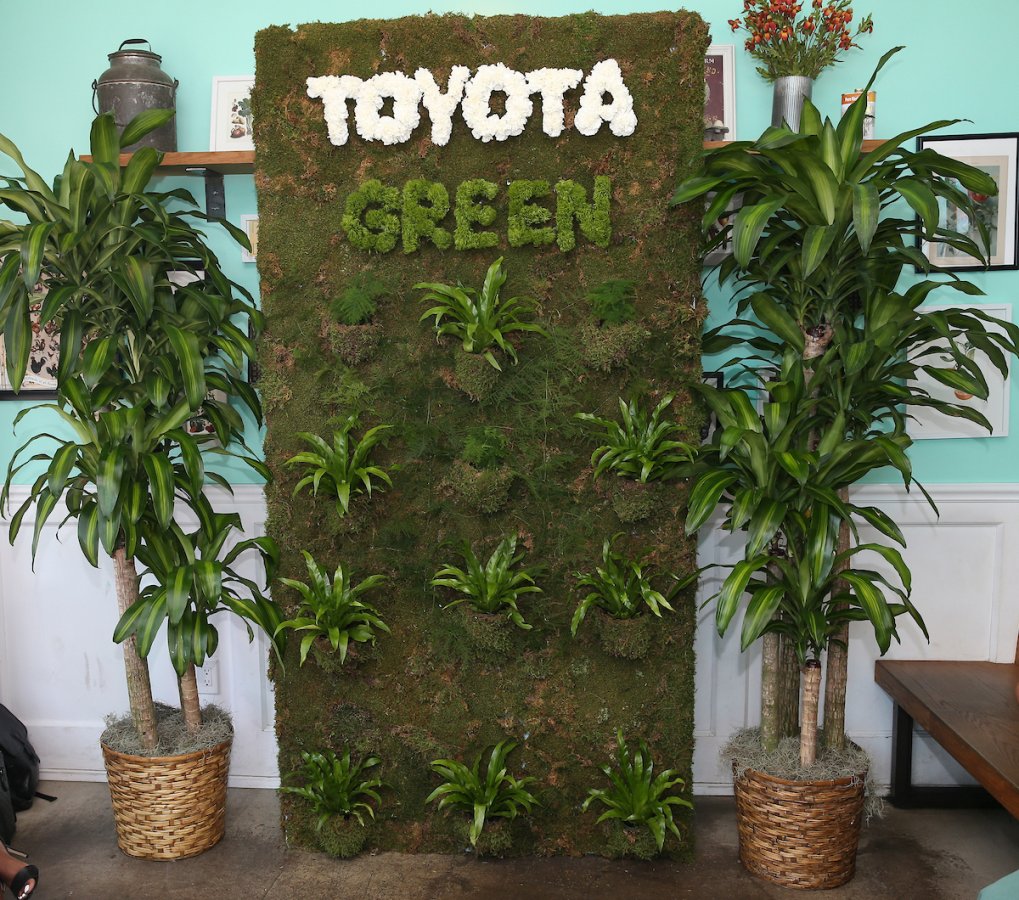 Toyota Presented Green Is The New Black at Afropunk 2018