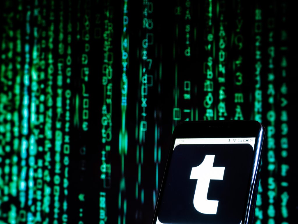 Tumblr social networking website seen displayed on a smart...
