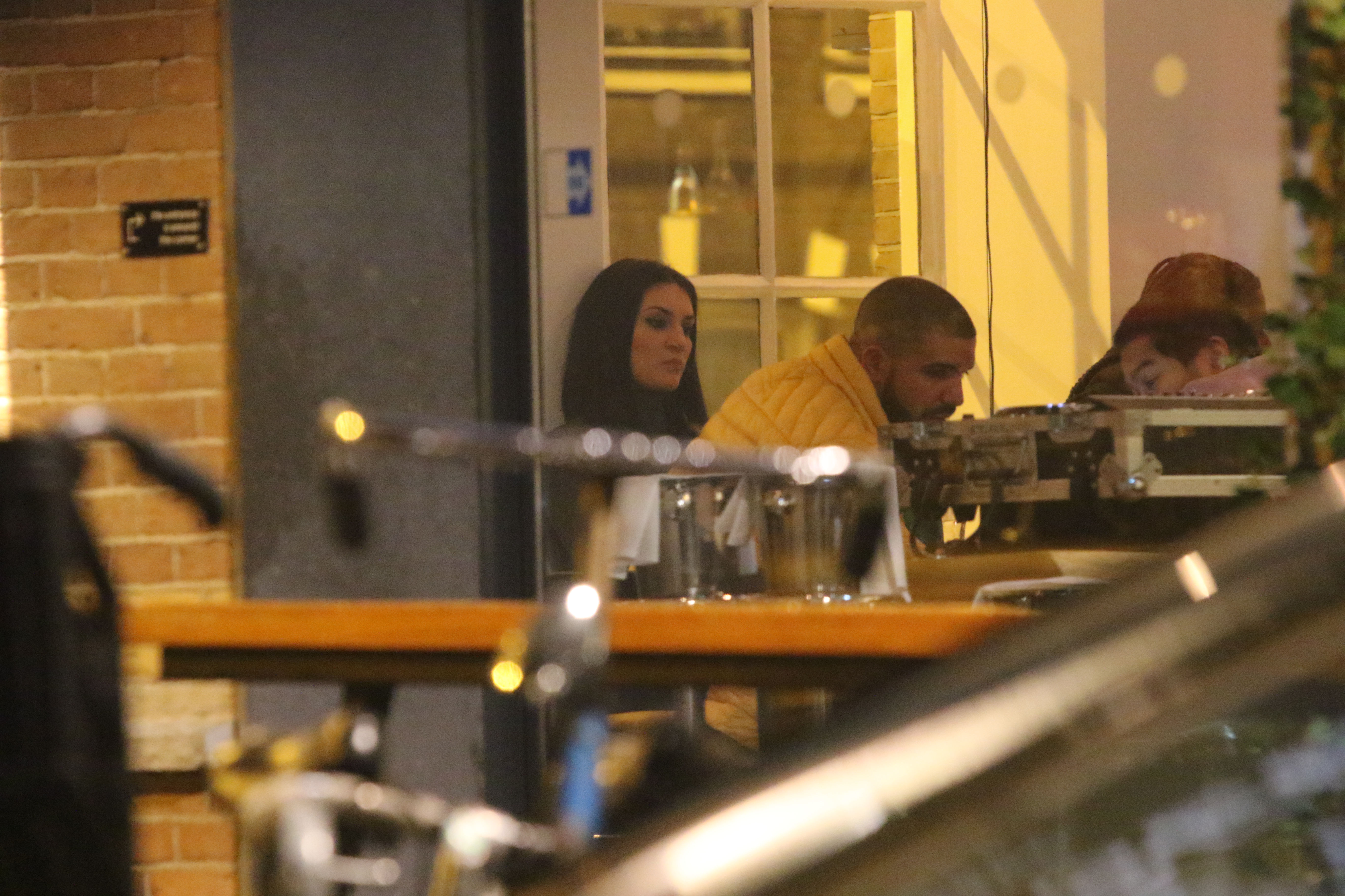 Sophie Brussaux and Drake