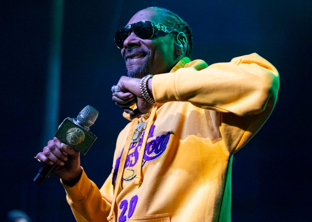 Snoop Dogg In Concert - Detroit, MI