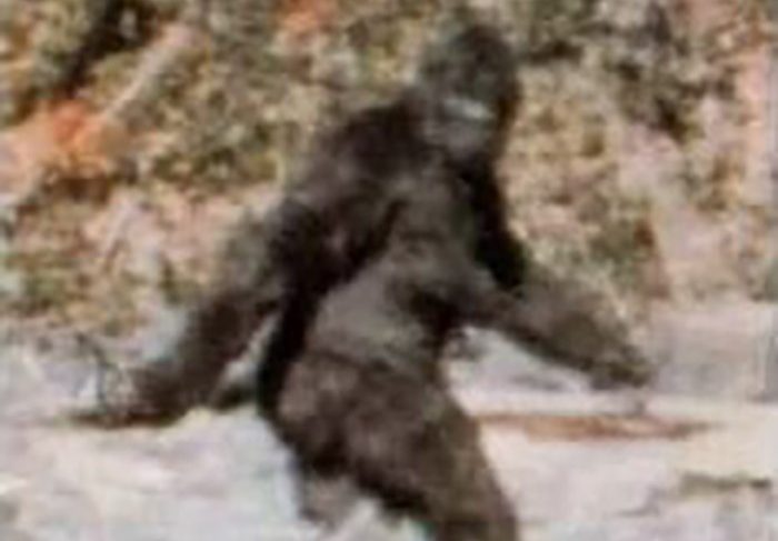 Your Old Droog Purple Rain (Game, Blouses)