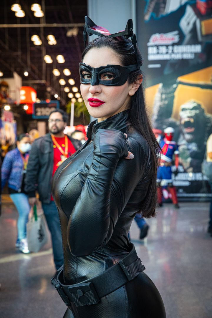 Catwoman (The Dark Knight Rises)