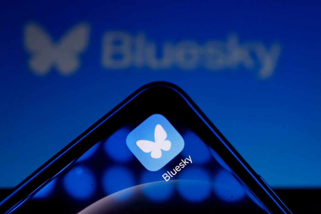 Bluesky Gains 700,000 In Wake of Elon Musk's Changes To X