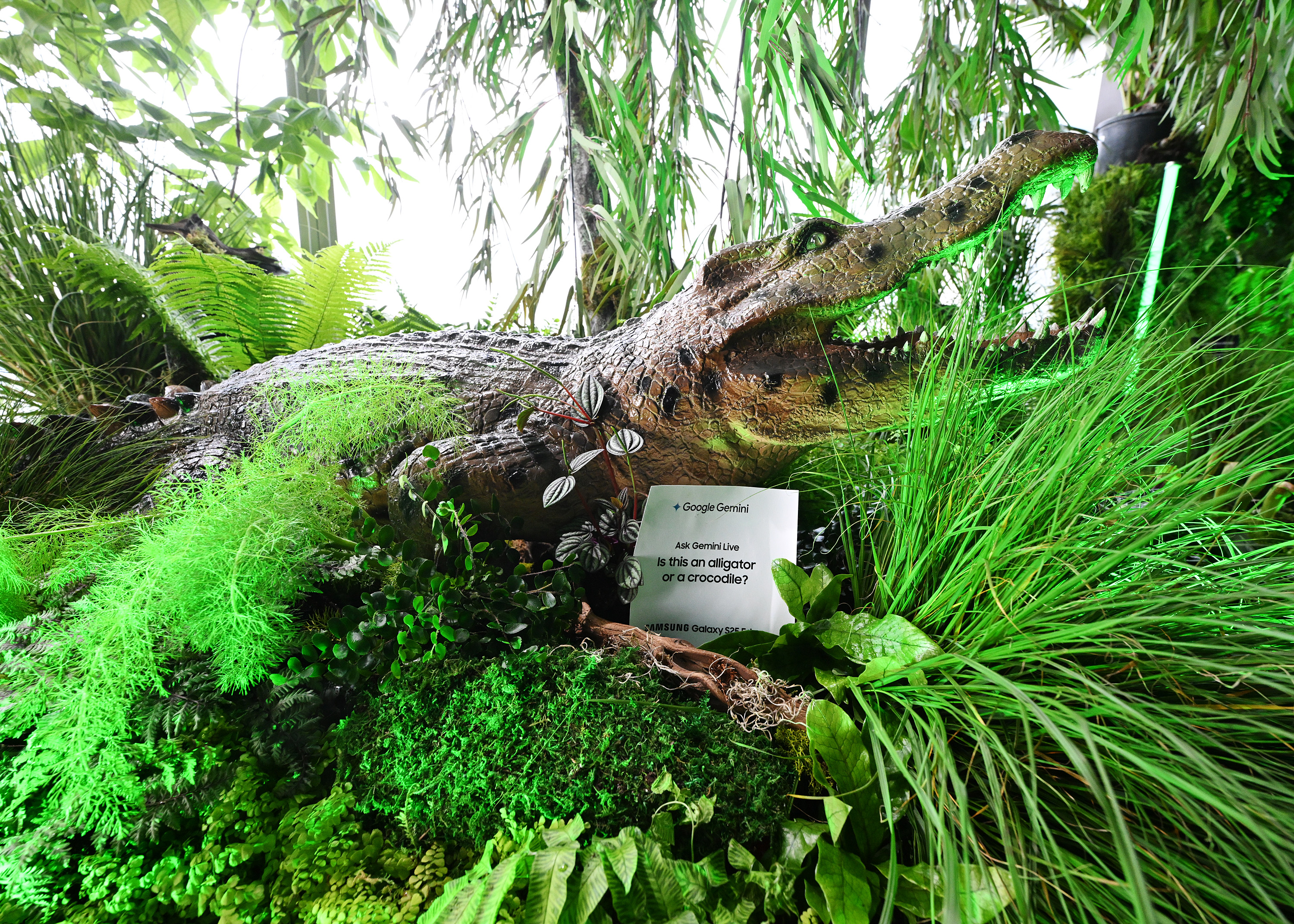 Live on The Edge Samsung x Doechii